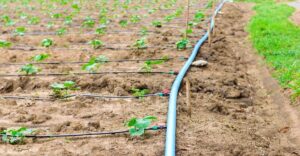 Một số lưu ý khi sử dụng ống HDPE trong hệ thống tưới tiêu
