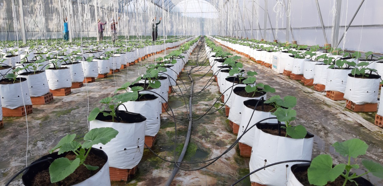 Bước 3: Tập kết vật tư và kiểm tra thiết bị trước lắp đặt hệ thống tưới nhỏ giọt