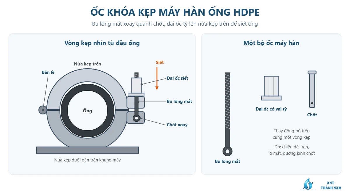 Sơ đồ ốc máy hàn ống HDPE: bu lông mắt xoay quanh chốt, đai ốc siết tỳ lên nửa kẹp trên của vòng kẹp
